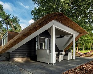 Unterkunft 322042 - Ferienhaus Veluwe - Vakantiewoning Sprielderbosch 31 "Lindenhorst" op de Veluwe