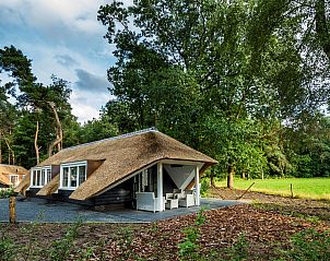 Unterkunft 322042 - Ferienhaus Veluwe - Vakantiewoning Sprielderbosch 31 "Lindenhorst" op de Veluwe