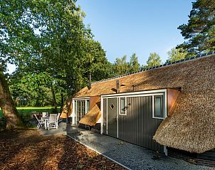Unterkunft 322042 - Ferienhaus Veluwe - Vakantiewoning Sprielderbosch 31 "Lindenhorst" op de Veluwe