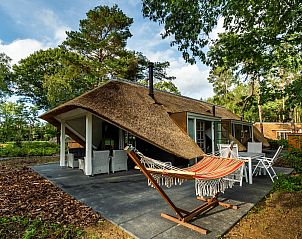 Unterkunft 322042 - Ferienhaus Veluwe - Vakantiewoning Sprielderbosch 31 "Lindenhorst" op de Veluwe