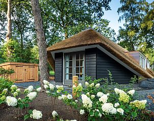 Unterkunft 322042 - Ferienhaus Veluwe - Vakantiewoning Sprielderbosch 31 "Lindenhorst" op de Veluwe