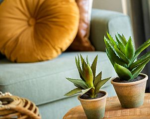 Unterkunft 322042 - Ferienhaus Veluwe - Vakantiewoning Sprielderbosch 31 "Lindenhorst" op de Veluwe