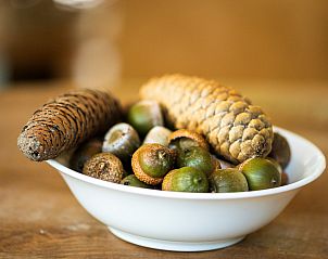 Unterkunft 322042 - Ferienhaus Veluwe - Vakantiewoning Sprielderbosch 31 "Lindenhorst" op de Veluwe