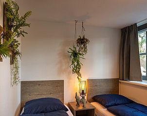 Unterkunft 322042 - Ferienhaus Veluwe - Vakantiewoning Sprielderbosch 31 "Lindenhorst" op de Veluwe