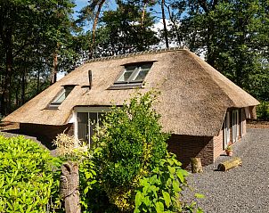 Charming thatched-roof vacation home Sprielderbosch 38 The Wooden Owl, located in green Putten, Veluwe.