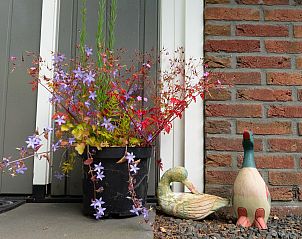 Flowering plants at the entrance to Holiday home Sprielderbosch 38 The Wooden Owl, Veluwe, Putten.