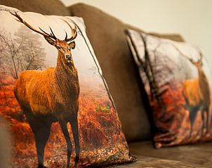 Detail of decorative pillows in Holiday home Sprielderbosch 38 The Wooden Owl, Veluwe, Putten.