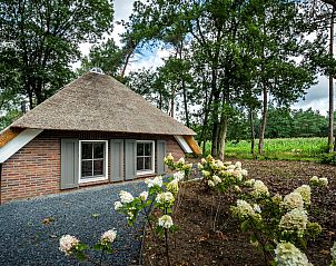 Green surroundings of Holiday home Sprielderbosch 38 The Wooden Owl, with flowers in the Veluwe, Putten.