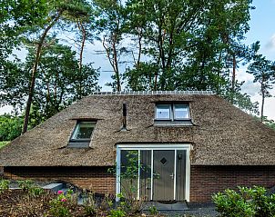 Back of Holiday home Sprielderbosch 38 The Wooden Owl, with thatched roof in the Veluwe, Putten.