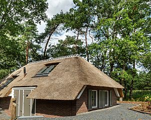 Side view of Holiday home Sprielderbosch 38 The Wooden Owl, with thatched roof and trees in Veluwe, Putten.