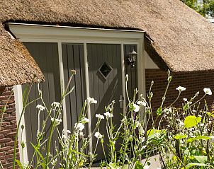 Entrance to Holiday home Sprielderbosch 38 The Wooden Owl, surrounded by flowers in the Veluwe, Putten.