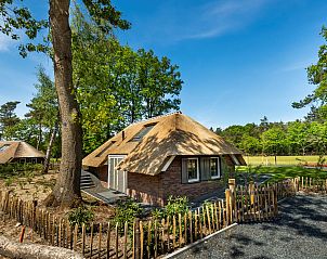 Unterkunft 322045 - Ferienhaus Veluwe - Vakantiewoning Sprielderbosch 41 "Le Bouleau" op de Veluwe