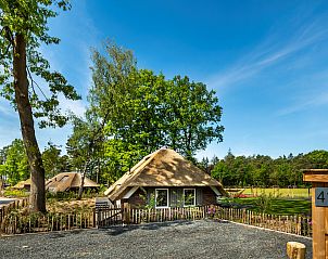 Unterkunft 322045 - Ferienhaus Veluwe - Vakantiewoning Sprielderbosch 41 "Le Bouleau" op de Veluwe