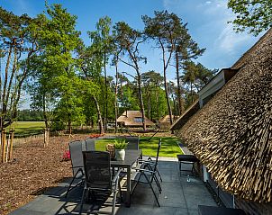 Unterkunft 322045 - Ferienhaus Veluwe - Vakantiewoning Sprielderbosch 41 "Le Bouleau" op de Veluwe