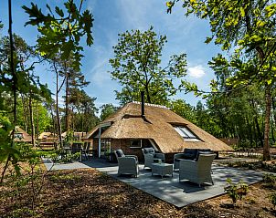 Unterkunft 322045 - Ferienhaus Veluwe - Vakantiewoning Sprielderbosch 41 "Le Bouleau" op de Veluwe