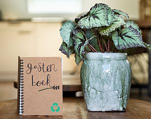 Unterkunft 322045 - Ferienhaus Veluwe - Vakantiewoning Sprielderbosch 41 "Le Bouleau" op de Veluwe