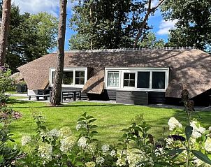 Unterkunft 322053 - Ferienhaus Veluwe - Huisje in Putten
