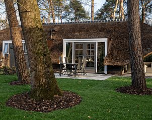 Unterkunft 322053 - Ferienhaus Veluwe - Huisje in Putten