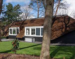 Unterkunft 322053 - Ferienhaus Veluwe - Huisje in Putten