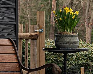 Unterkunft 322053 - Ferienhaus Veluwe - Huisje in Putten