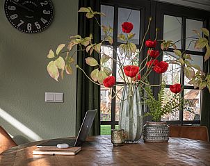 Unterkunft 322053 - Ferienhaus Veluwe - Huisje in Putten