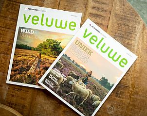 Unterkunft 322053 - Ferienhaus Veluwe - Huisje in Putten