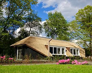 Vakantiehuis in Putten met rieten dak omringd door natuur, Veluwe, Gelderland.