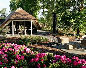 Zonnig terras met bloemen bij Vakantiehuis in Putten, Veluwe, Gelderland.