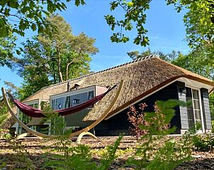 Hangmat en natuur bij Vakantiehuis in Putten, ontspannen op de Veluwe, Gelderland.