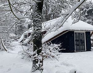 Besneeuwde omgeving van Vakantiehuis in Putten, Veluwe, Gelderland.