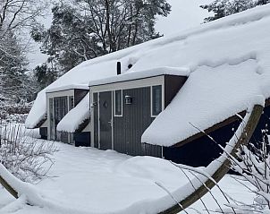 Herfstkleuren bij Vakantiehuis in Putten, kleurrijke Veluwe, Gelderland.
