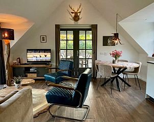 Comfortabele zithoek in Vakantiehuis in Putten, Veluwe, Gelderland.