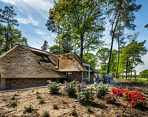Vakantiewoning Sprielderbosch 44 Green Balance in Putten, Veluwe, Gelderland met rieten dak en kleurrijke tuin.