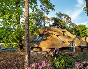 Gezellige zithoek bij Vakantiewoning Sprielderbosch 44 Green Balance op de Veluwe in Putten, omgeven door bomen.