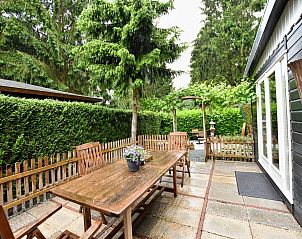 Verblijf 322069 - Chalet Veluwe - Reewold