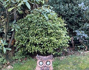 Unterkunft 322087 - Ferienhaus Veluwe - Huisje in Putten