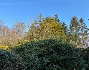 Unterkunft 322087 - Ferienhaus Veluwe - Huisje in Putten