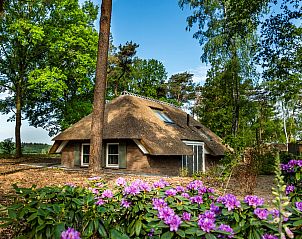 Unterkunft 322089 • Ferienhaus Veluwe • Buitenplaats Sprielderbosch 20 "Huize Klaterbos" 