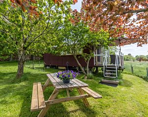 Unterkunft 322105 - Ferienhaus Veluwe - Vakantiehuis in Wezep/Oldebroek