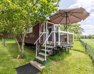 Unterkunft 322105 - Ferienhaus Veluwe - Vakantiehuis in Wezep/Oldebroek