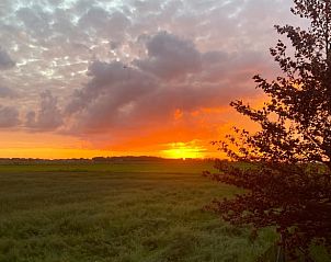 Unterkunft 322105 - Ferienhaus Veluwe - Vakantiehuis in Wezep/Oldebroek