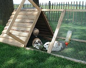 Unterkunft 322106 - Ferienhaus Veluwe - Vakantiehuisje in Wezep/Oldebroek