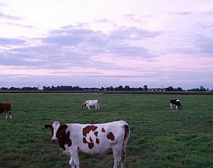 Unterkunft 322106 - Ferienhaus Veluwe - Vakantiehuisje in Wezep/Oldebroek