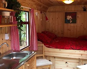 Unterkunft 322108 - Ferienhaus Veluwe - Huisje in Wezep