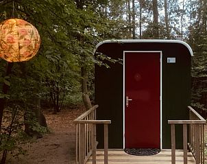 Unterkunft 322108 - Ferienhaus Veluwe - Huisje in Wezep