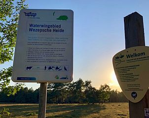 Unterkunft 322108 - Ferienhaus Veluwe - Huisje in Wezep