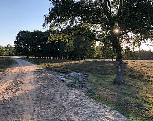 Unterkunft 322108 - Ferienhaus Veluwe - Huisje in Wezep