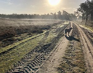 Unterkunft 322108 - Ferienhaus Veluwe - Huisje in Wezep