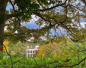 Unterkunft 322108 - Ferienhaus Veluwe - Huisje in Wezep