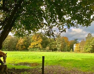 Unterkunft 322108 - Ferienhaus Veluwe - Huisje in Wezep